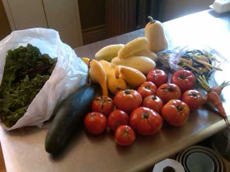 The first round of produce from CSA!